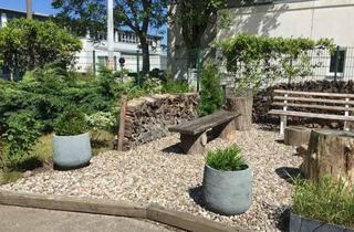 Wohnung mieten in Speicherstraße 17, 17033 Katharinenviertel, DREI-RAUM-WOHNUNG GÜNSTIGE Nebenkosten - modernisierter Altbau - EBK, hochw. Fußb., renov.