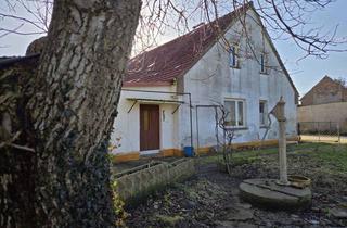 Haus kaufen in 17391 Liepen, Handwerkerobjekt auf großen Grundstück in ruhiger Dorflage