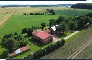 Haus kaufen in 24888 Steinfeld, Charmanter Resthof mit Scheunen auf großzügigem Grundstück in ruhiger Alleinlage in Steinfeld