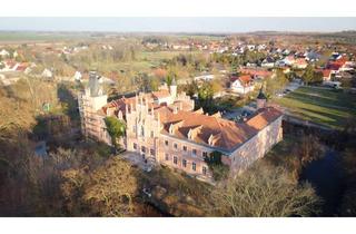 Anlageobjekt in 15306 Seelow, Prächtiges Schloss mit Schlosspark von Peter Lenné