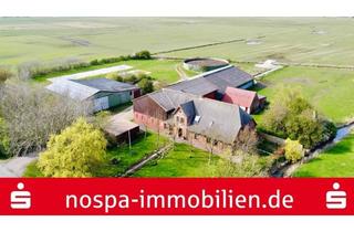 Haus kaufen in 25849 Pellworm, Ehemaliger landwirtschaftlicher Betrieb mit ca. 1,27 ha Grünland auf der Nordseeinsel Pellworm