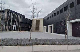 Büro zu mieten in Spatenstraße 10, 88046 Friedrichshafen, Sehr schöne, repräsentative Räume für Kanzlei, Büro oder Praxis zu vermieten