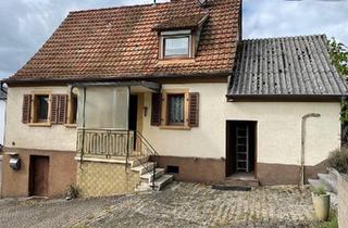 Einfamilienhaus kaufen in 67732 Hirschhorn, Hirschhorn/Pfalz - Einfamilienhaus mit Carport - sanierungsbedürftig