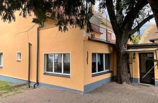 Doppelhaushälfte kaufen in 04880 Dommitzsch, Dommitzsch - Doppelhaushälfte mit Garten bis 1500m² und Dachterrasse i