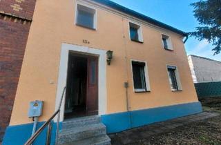 Doppelhaushälfte kaufen in 04880 Dommitzsch, Dommitzsch - Doppelhaushälfte mit Garten bis 1500m² und Dachterrasse i