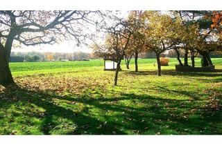 Einfamilienhaus kaufen in 31637 Rodewald, Rodewald - Einfamilienhaus mit viel Nebengelass u. großem Garten in Rodewald