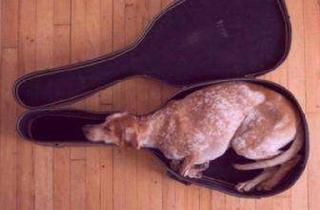 Wohnung mieten in Sarajevo- Ufer 24, 39106 Alte Neustadt, Klein aber mein ! Tolle Single-Wohnung auf der Elbinsel!