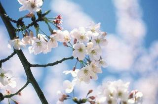 Wohnung mieten in Rosenweg, 19230 Hagenow, Top-Zweiraumwohnung mit Einbauküche