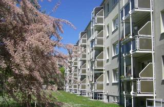 Wohnung mieten in Lessingstraße 73, 04808 Wurzen, Ruhige sonnige 3Raumwohnung in grüner Umgebung.