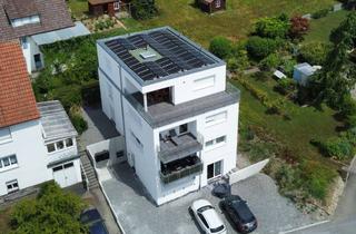 Wohnung mieten in Eichhofer Straße 15, 74632 Neuenstein, Lichtdurchflutete 3,5-Zi-Whg. mit Dachterrasse / KFW40 QNG