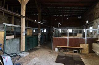 Haus kaufen in 06779 Tornau v d Heide, Weitläufiger Pferdehof in Ruhiger Dorflage