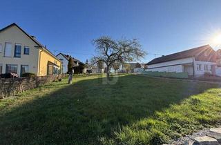 Grundstück zu kaufen in 54426 Heidenburg, IDYLLISCH, SÜD AUSRICHTUNG, RUHIGE LAGE, NATUR