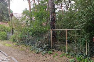 Grundstück zu kaufen in Kantstraße 62, 15366 Hoppegarten, Dahlwitz-Hoppegarten (Waldesruh) - direkt am östlichen Berliner Stadtrand