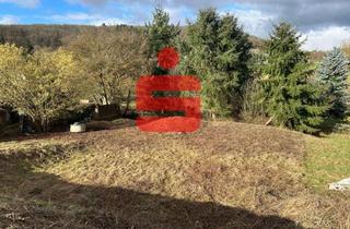 Grundstück zu kaufen in 67826 Hallgarten, Erschlossenes Baugrundstück in Hanglage mit schöner Aussicht !