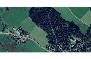 Grundstück zu kaufen in 79853 Lenzkirch, Großzügiges Naturgrundstück in Saig mit Baupotenzial
