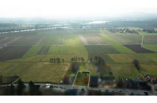 Grundstück zu kaufen in 32549 Bad Oeynhausen, Attraktives Baugrundstück mit unverbaubarem Blick in die Weserauen in Bad Oeynhausen-Dehme