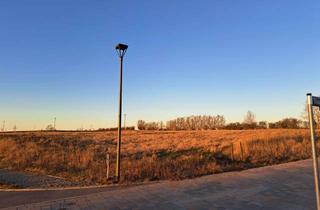 Grundstück zu kaufen in Ostseehöhe 45, 23948 Klütz, Attraktives Ferienhausgrundstück an der Ostsee in Wohlenberg