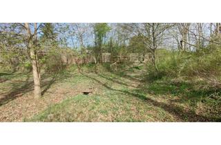 Grundstück zu kaufen in 29473 Göhrde, 'Ayurvedaklinik Europa' im Wendland