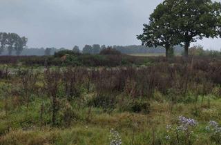 Grundstück zu kaufen in 21423 Winsen, Baugrundstück in Naturlage