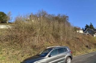 Grundstück zu kaufen in 97794 Rieneck, Baugrundstück in beliebter Südlage von Rieneck