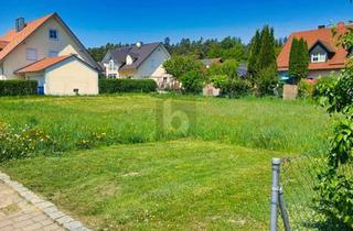 Grundstück zu kaufen in 93358 Train, WALDRANDLAGE FÜR IHREN WOHNTRAUM