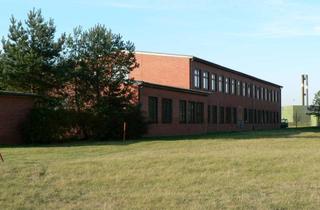 Büro zu mieten in Am Rollfeld, 24852 Eggebek, Büroflächen