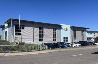 Gewerbeimmobilie kaufen in Flinsbacher Straße, 74921 Helmstadt-Bargen, Ihr neuer Unternehmensstandort: 2.320 m² Gewerbefläche mit beeindruckender Ausstellung