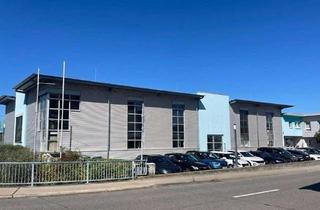 Gewerbeimmobilie kaufen in Flinsbacher Straße, 74921 Helmstadt-Bargen, Ihr neuer Unternehmensstandort: 2.320 m² Gewerbefläche mit beeindruckender Ausstellung