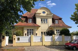 Büro zu mieten in 19055 Lewenberg, Bürofläche mit Terrasse im Gartengeschoss einer Jugendstilvilla am Ziegelsee