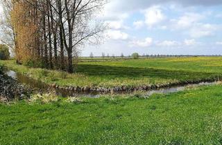 Immobilie kaufen in 19309 Lenzen, Grünland mittelfristig auch für Fotovoltaik geeignet