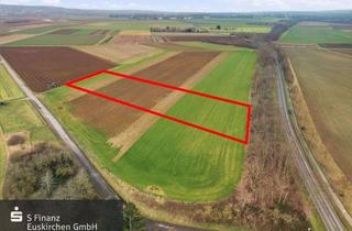 Gewerbeimmobilie kaufen in 53332 Bornheim, Landwirtschaftliche Flächen in Bornheim-Brenig und Kardorf-Hemmerich zu verkaufen