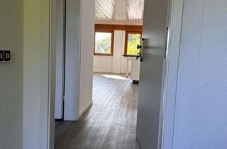 Wohnung mieten in 79639 Grenzach-Wyhlen, Helle Wohnung Dachgeschoss 65qm Grenzach-Wyhlen 2,5 Zimmer mit Ausblick