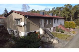 Einfamilienhaus kaufen in 39524 Klietz, Einfamilienhaus mit Entwicklungspotenzial in Klietz