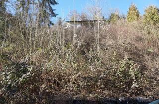 Grundstück zu kaufen in 72160 Horb, Träumen Sie nicht länger von Ihrem Traumhaus - bauen Sie es jetzt in Horb am Neckar!