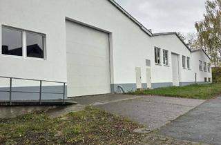 Gewerbeimmobilie mieten in Oberbecksener Straße 36, 32547 Bad Oeynhausen, Halle