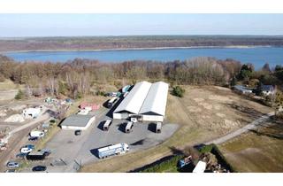 Gewerbeimmobilie kaufen in 16775 Löwenberger Land, Großes Gewerbegrundstück mit Lagerhallen und Büroräumen - Preis VB auch Miete