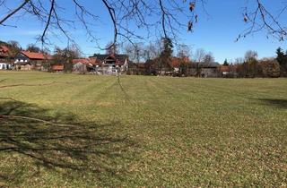 Grundstück zu kaufen in 86860 Jengen, GRUNDSTÜCK IN JENGEN/BECKSTETTEN MIT ATTRAKTIVER PERSPEKTIVE