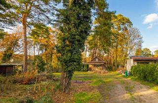 Grundstück zu kaufen in 15834 Rangsdorf, Sonniges Baugrundstück am Waldrand – ideale Basis für Ihr Ein- oder Zweifamilienhaus