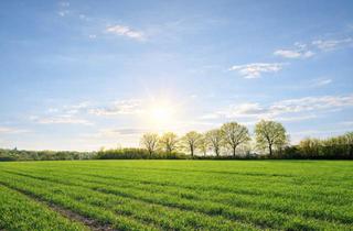Grundstück zu kaufen in 22967 Tremsbüttel, Exklusives Baugrundstück. Sonnenuntergänge inklusive – 2. Reihe in Feldrandlage