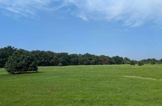 Gewerbeimmobilie kaufen in 06844 Waldersee, Landwirtschaftsfläche verpachtet; Mindestgebot: 1.400 €; Einzelheiten siehe Exposee!