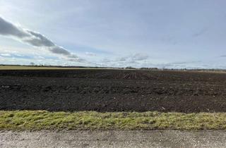 Gewerbeimmobilie kaufen in 86854 Amberg, EBENE ACKERFLÄCHE IM UNTERALLGÄU