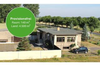 Haus kaufen in 16792 Zehdenick, Zehdenick - Provisionsfrei - Haus mit weitem Blick & Privatsphäre