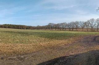 Einfamilienhaus kaufen in 16909 Wittstock, Wittstock/Dosse - Traum vom Pferd am Haus, Einfamilienhaus