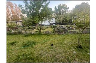 Haus kaufen in 15517 Fürstenwalde, Fürstenwalde (Spree) - Garten Garten