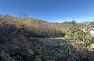 Grundstück zu kaufen in 58119 Hagen, Hagen / Hohenlimburg - Grundstück mit Blick auf das Schloss Hohenlimburg