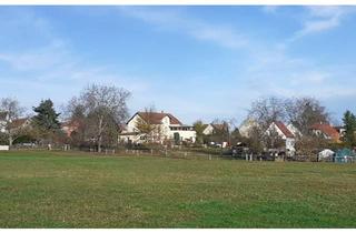 Mehrfamilienhaus kaufen in 01809 Heidenau, Heidenau - Großes Grundstück mit Mehrfamilienhaus