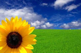 Wohnung kaufen in Hirschenweg, 82538 Geretsried, Zur Kapitalanlage: Kleines Stadtappartement nähe Schulzentrum Geretsried - keine Käuferprovision