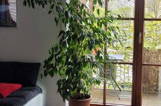 Wohnung mieten in 86444 Affing, Stilvolle, gepflegte 2-Zimmer-Wohnung in Affing