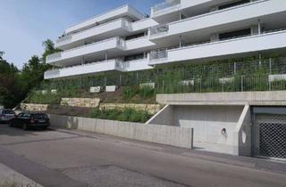 Wohnung mieten in Hildtstr., 74189 Weinsberg, Neuwertige 4 Zimmerwohnung in ToP Lage