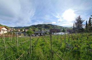 Grundstück zu kaufen in 77830 Bühlertal, AUSSICHT & LEBENSQUALITÄT